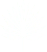 Hotel Fera symbol white